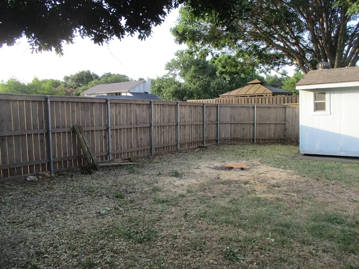 Cleared yard after professional tree removal in Bluff Springs